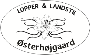 Lopper og Landstil