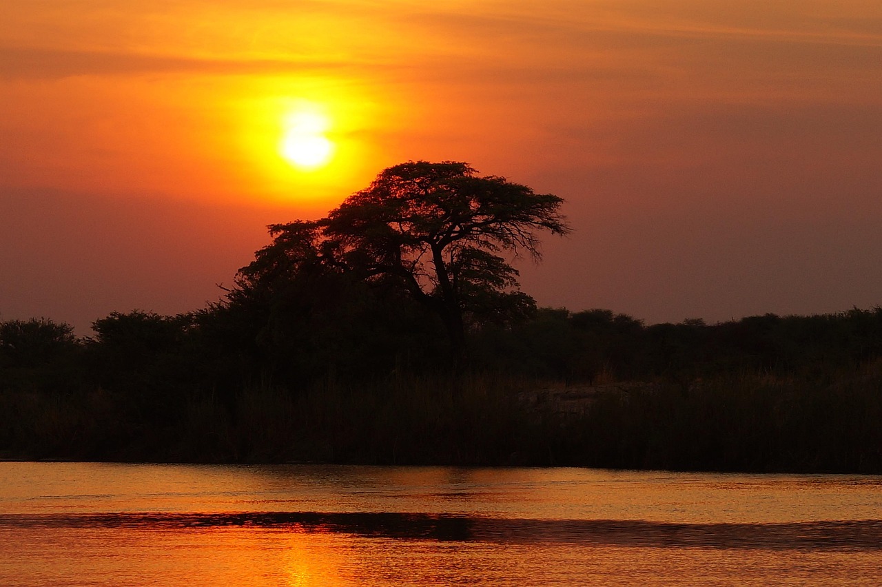 Rejser og safari i Botswana – naturens bedst-bevarede hemmelighed